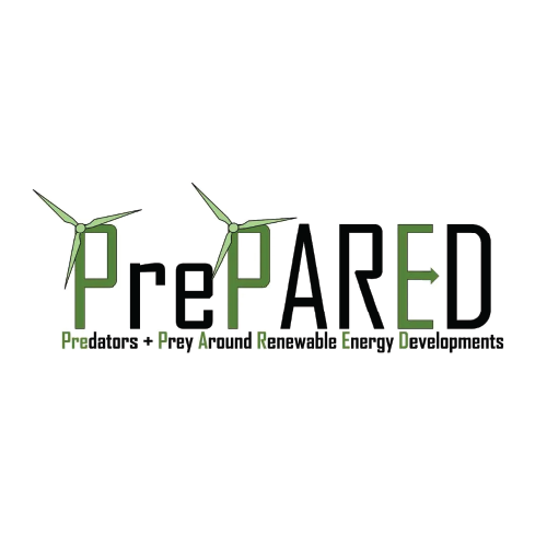 PrePARED, Predators + Prey Around Renewable Energy Developments