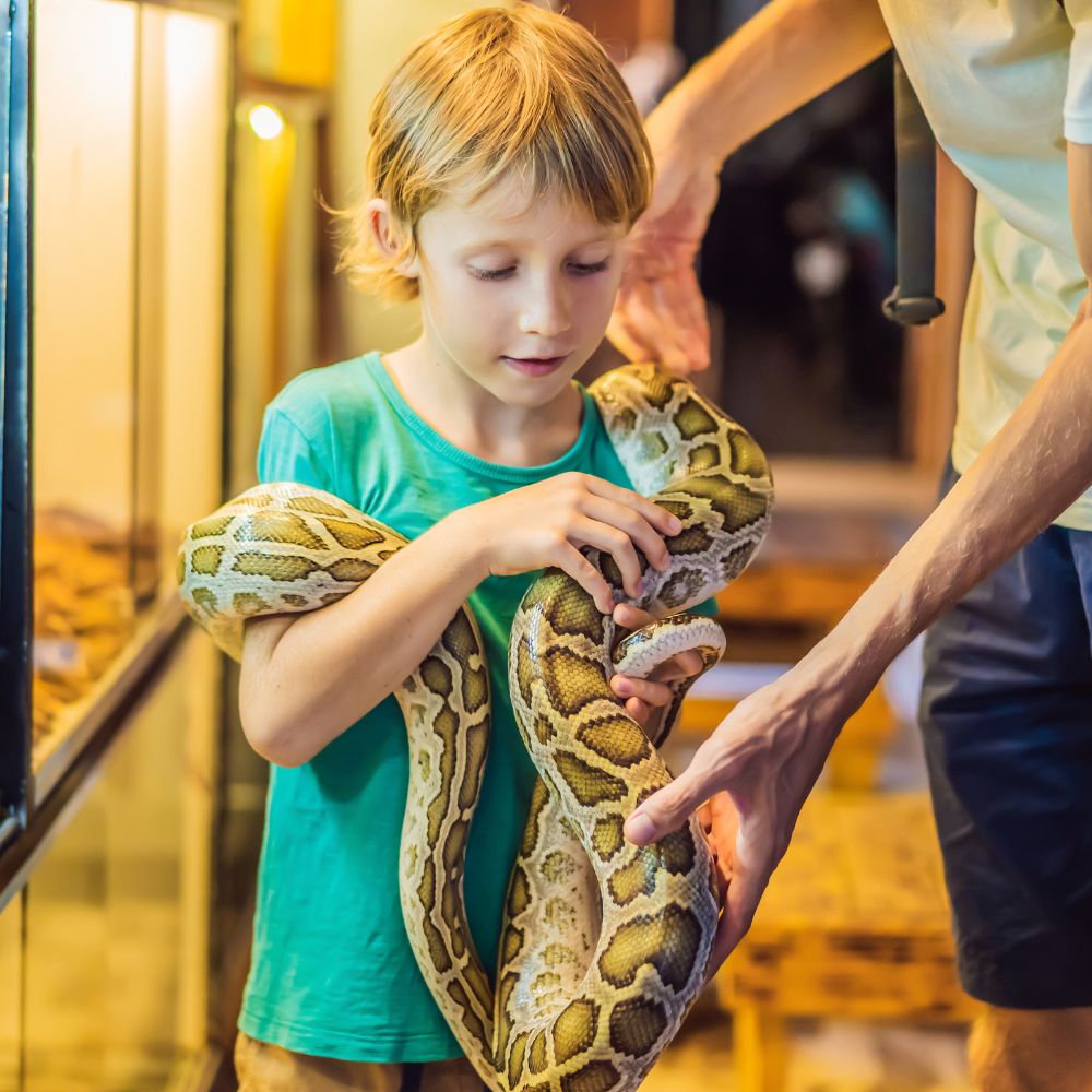 Kid at the zoo with a python